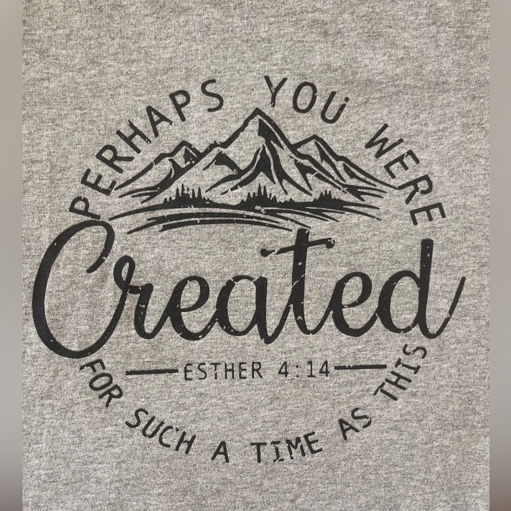 Shaka Active Soft Spun Cotton Gray T-Shirt - Picture 4 of 8